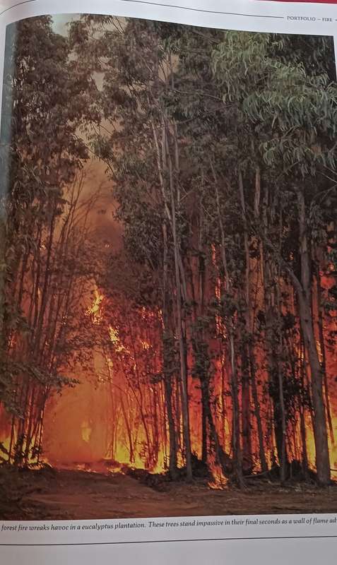 South Africa Magnificent Land - Readers Digest - Hardcover - 256 pages