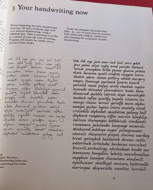 Teach Yourself Calligraphy - Dianne Minnaar - Softcover - 95 Pages