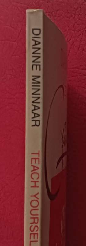 Teach Yourself Calligraphy - Dianne Minnaar - Softcover - 95 Pages