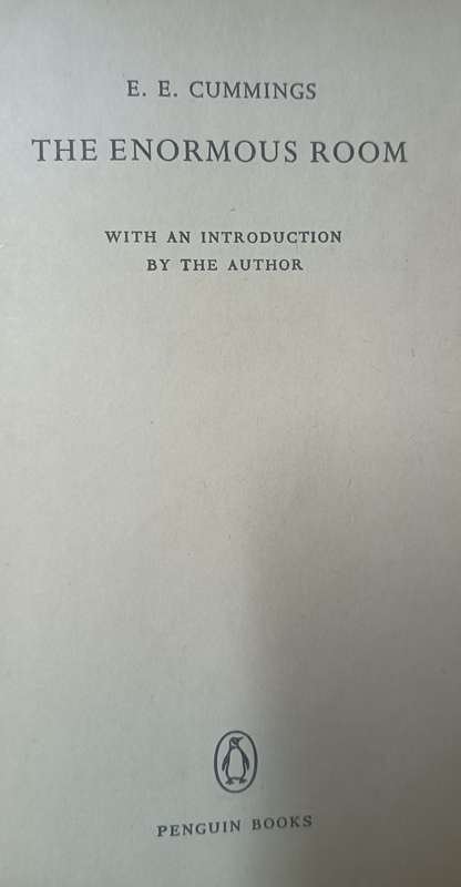 The Enormous Room - E.E. Cummings - Softcover - 269 Pages