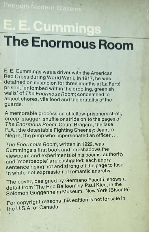 The Enormous Room - E.E. Cummings - Softcover - 269 Pages