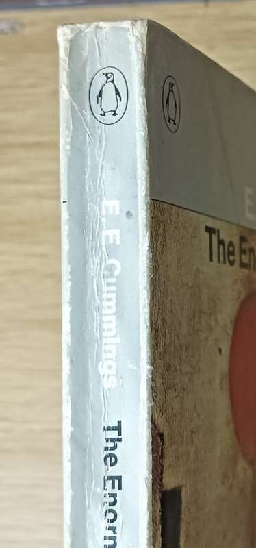 The Enormous Room - E.E. Cummings - Softcover - 269 Pages