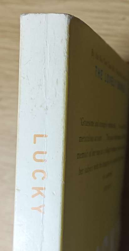 Lucky - Alice Sebold - Softcover - 254 pages