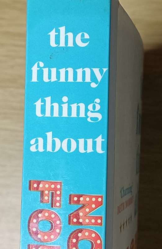 The Funny Thing About Norman Foreman - Julietta Henderson - Softcover - 367 Pages