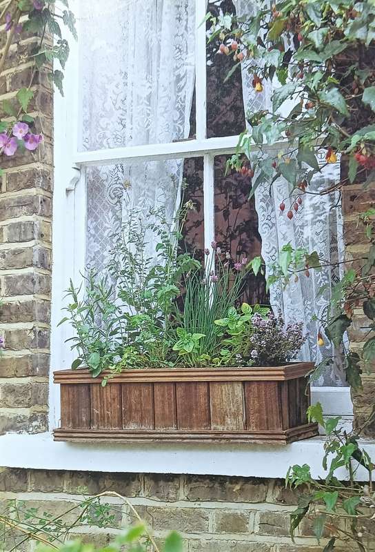 Creating a Herb Garden - Anthony Gardiner - Hardcover - 64 Pages