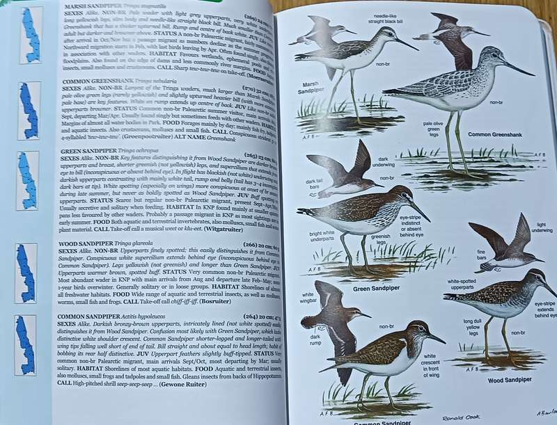 Roberts Bird Guide - Kruger Park and Lowveld - Hugh Chittenden & Ian Whyte - Softcover - 259 Pages