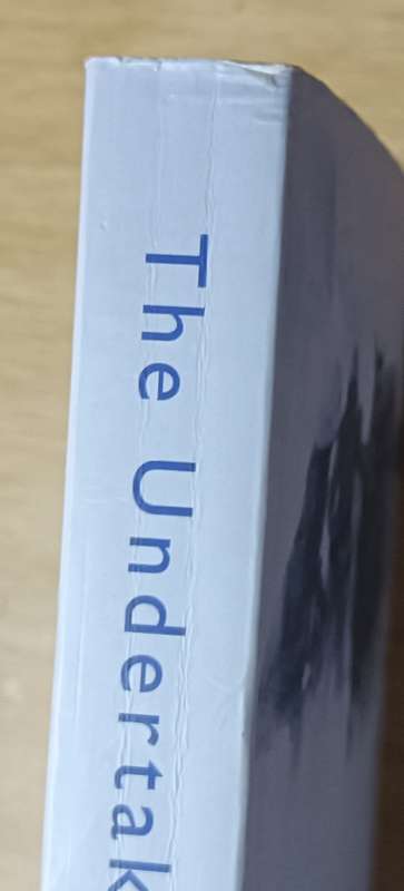 The Undertaking - Audrey Magee - Softcover - 287 pages