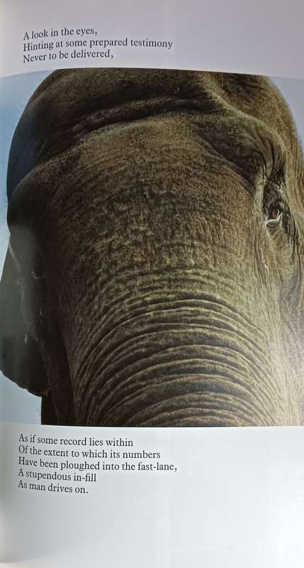 Sacred Elephant - Heathcote Williams - Softcover - 175 pages