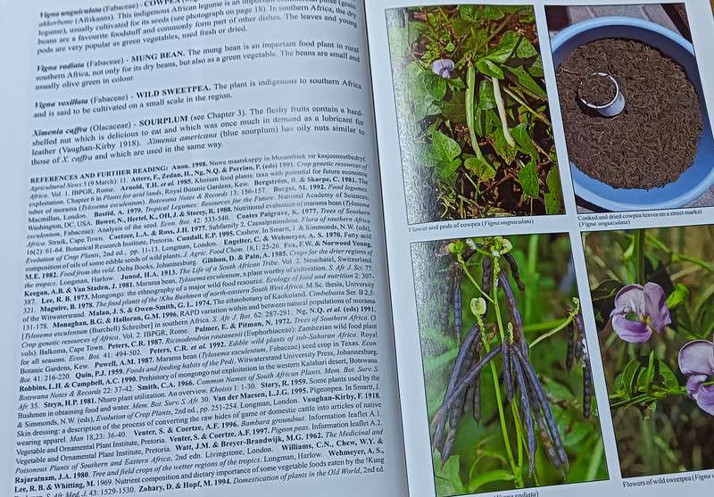 People's Plants - Ben-Erik van Wyk & Nigel Gericke - Hardcover - 351 pages