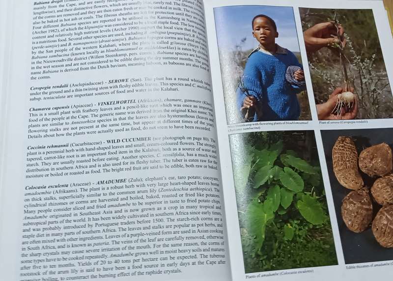 People's Plants - Ben-Erik van Wyk & Nigel Gericke - Hardcover - 351 pages