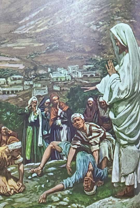 Footprints of Jesus - W.L. Emmerson Vols 1-4 complete - Hardcover - 807 pages