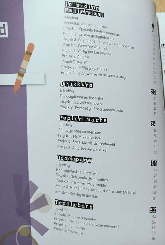 Ontdek Jou Kreatiwiteit! - Renate Zipfel - Softcover - 160 pages