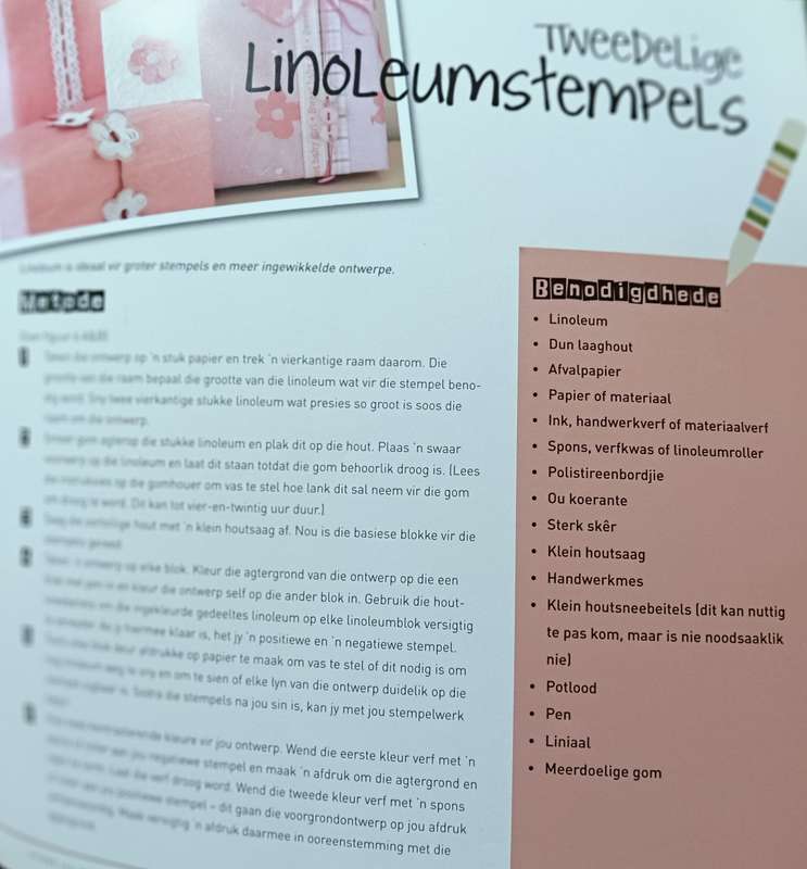 Ontdek Jou Kreatiwiteit! - Renate Zipfel - Softcover - 160 pages