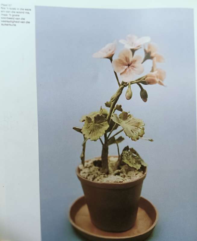 Suikerkuns - Kate Venter - Softcover - 96 pages