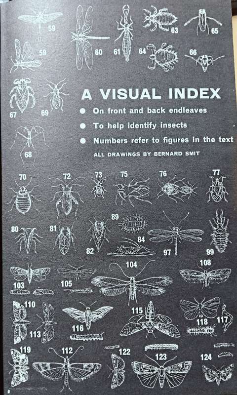 Insects in South Africa: How to Control Them - Bernard Smit - Hardcover - 399 pages