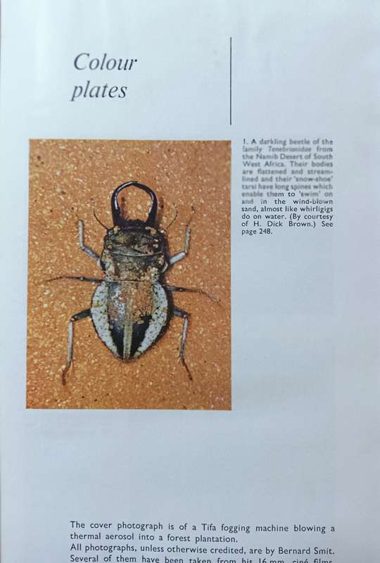 Insects in South Africa: How to Control Them - Bernard Smit - Hardcover - 399 pages
