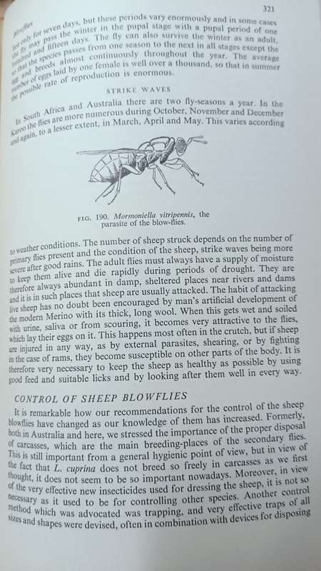 Insects in South Africa: How to Control Them - Bernard Smit - Hardcover - 399 pages