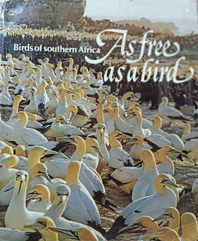 As Free as a Bird - Birds of Southern Africa - Peter Johnson - Hardcover - 208 pages