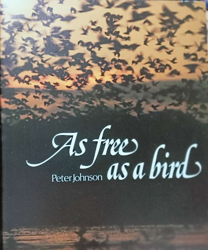 As Free as a Bird - Birds of Southern Africa - Peter Johnson - Hardcover - 208 pages