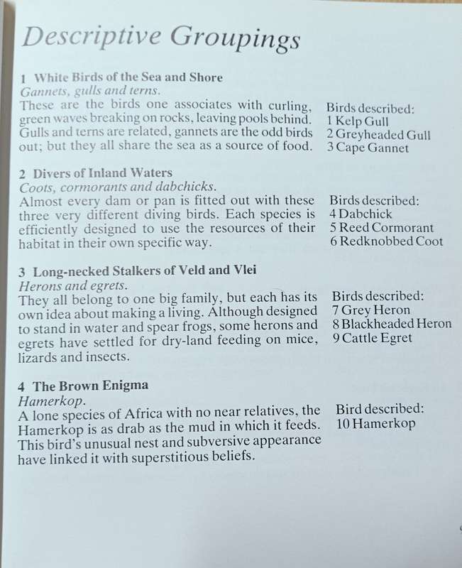 Meeting with Birds - Tom Spence - Softcover - 120 pages