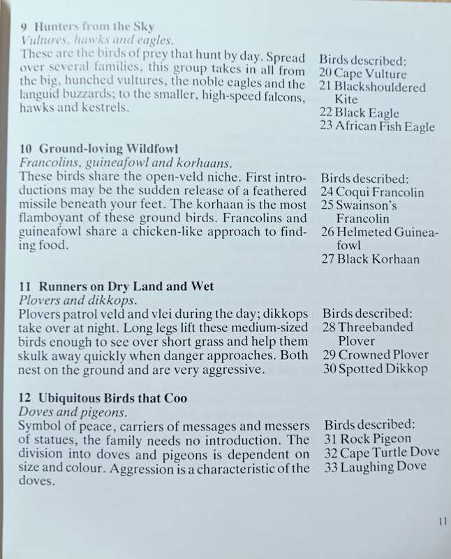 Meeting with Birds - Tom Spence - Softcover - 120 pages