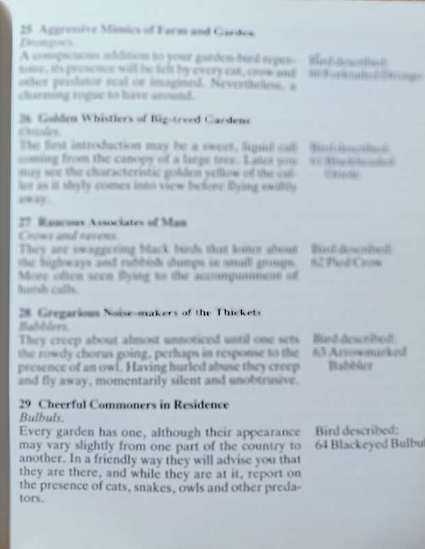 Meeting with Birds - Tom Spence - Softcover - 120 pages
