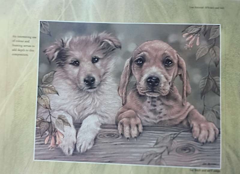 Loyal Companions - Lisa Halstead- Hardcover - 169 pages