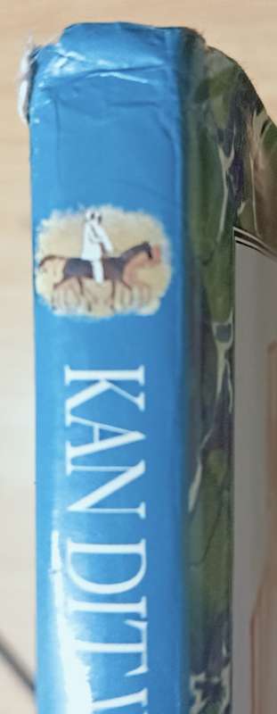 Kan dit Waar Wees - Sian Hall and Rob Marsh - Hardcover - 128 pages