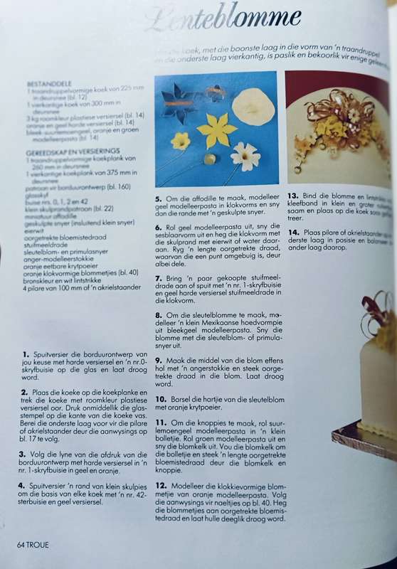 Die Suid-Afrikaanse Boek van Koek Versiering en Suikerkuns - Sylvia Coward - Hardcover - 176 pages