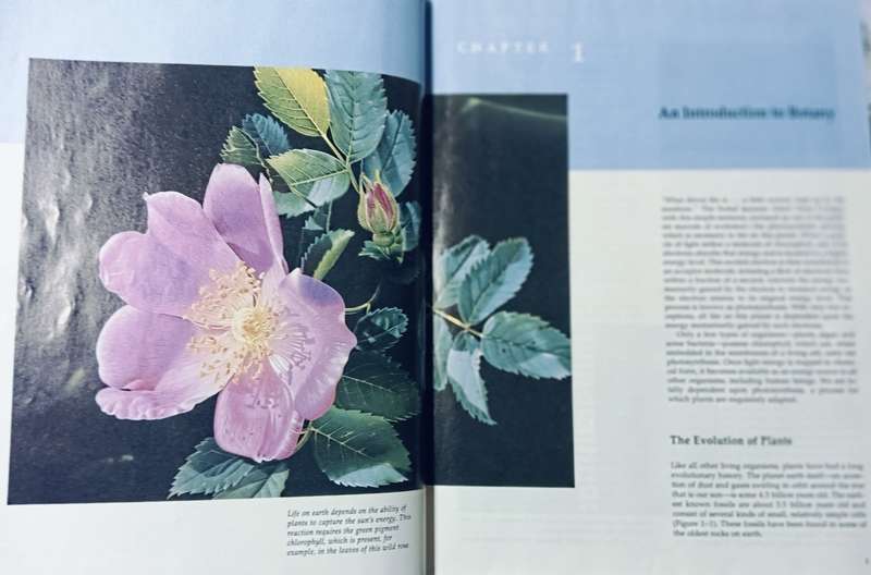 Biology of Plants - Raven, Evert & Eichhorn - 5th Edition - Hardcover - 791 pages