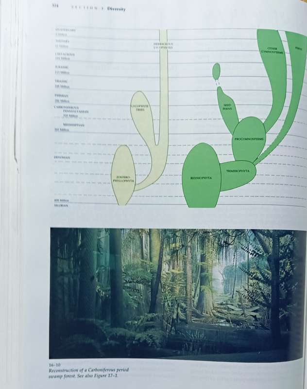 Biology of Plants - Raven, Evert & Eichhorn - 5th Edition - Hardcover - 791 pages
