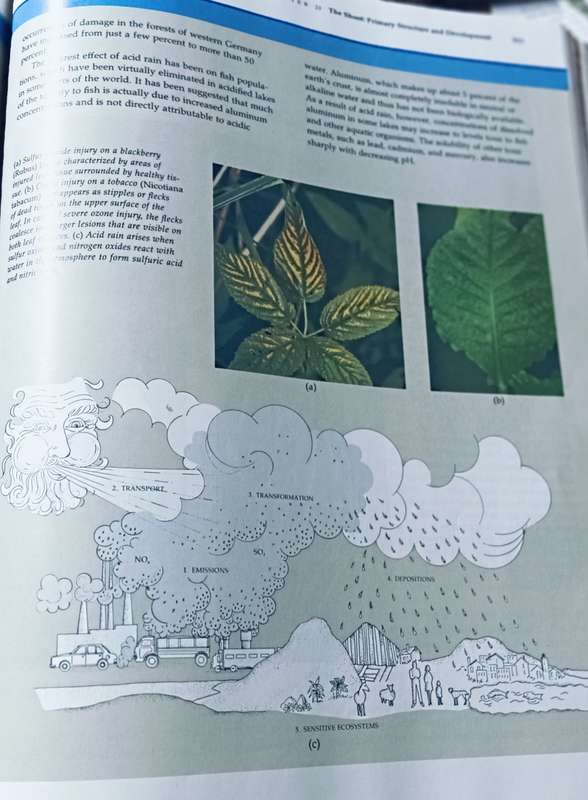 Biology of Plants - Raven, Evert & Eichhorn - 5th Edition - Hardcover - 791 pages