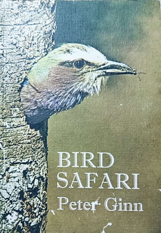 Bird Safari - Peter Ginn - Softcover - 64 pages