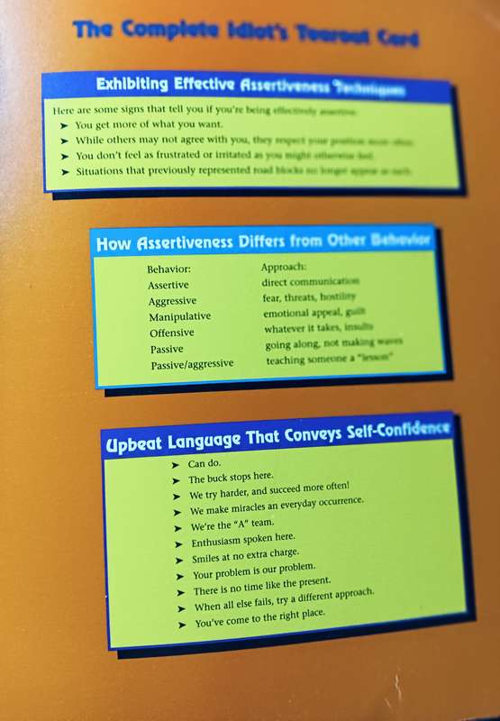 The Complete Idiot's Guide to Assertiveness - Jeff Davidson - Softcover - 337 pages