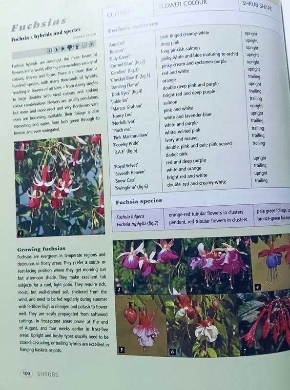 Gardening with Keith Kirsten - Softcover - 256 pages