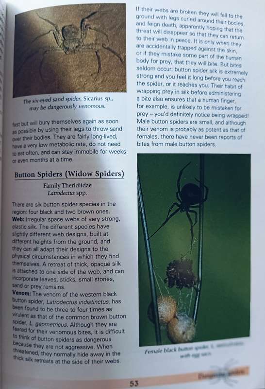 Spiders of South Africa - Astri & John Leroy - Softcover - 96 Pages