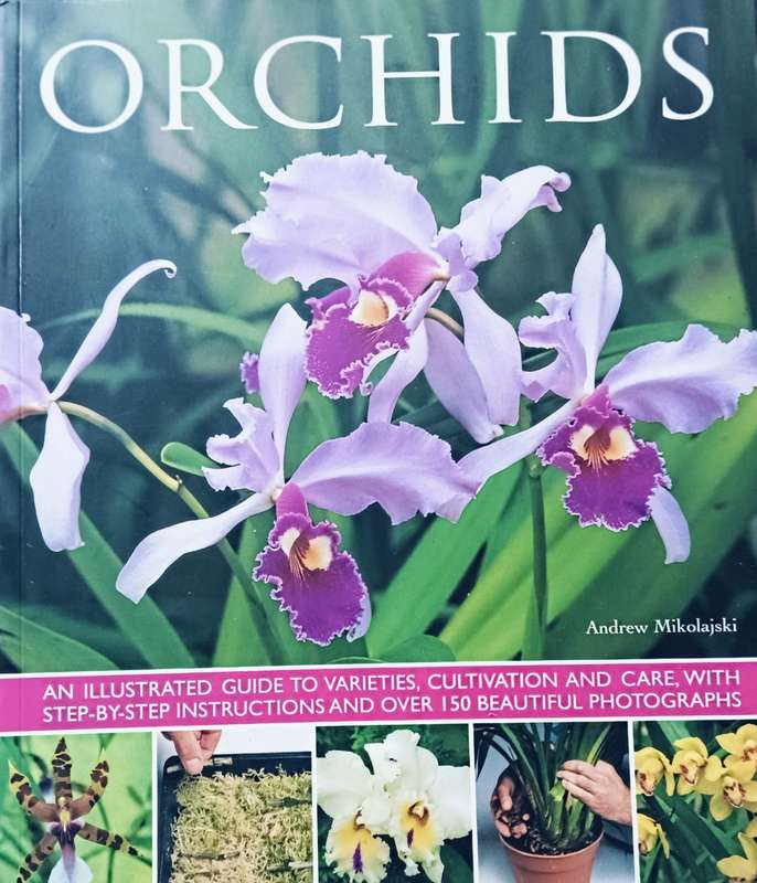 Orchids - Andrew Mikolajski - Softcover - 64 Pages