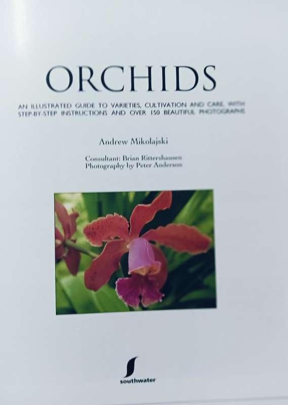 Orchids - Andrew Mikolajski - Softcover - 64 Pages