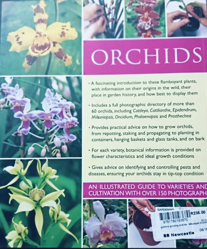 Orchids - Andrew Mikolajski - Softcover - 64 Pages