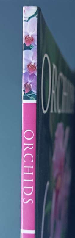 Orchids - Andrew Mikolajski - Softcover - 64 Pages