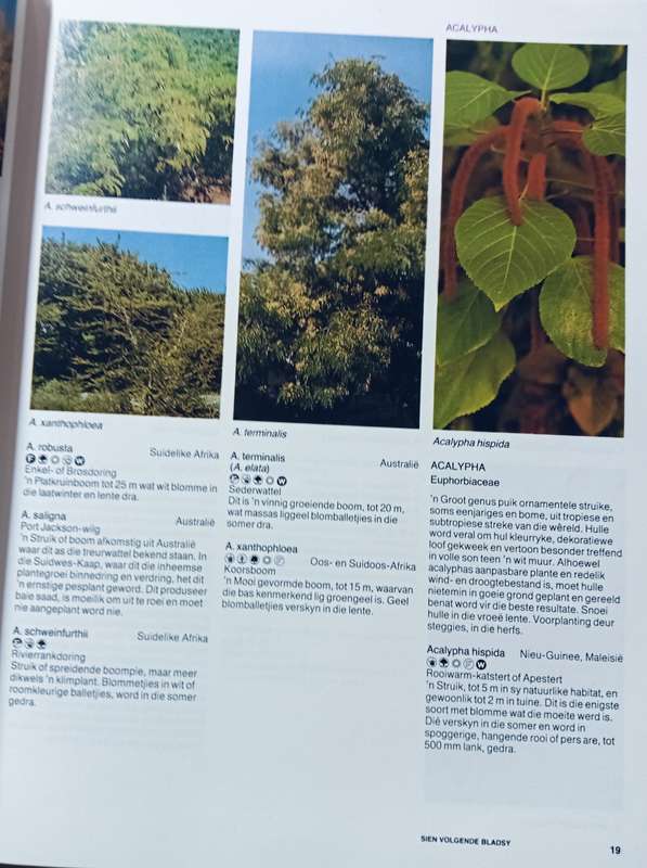 Die A-Z van Tuinblomme in Suid-Afrika - Kristo Pienaar - Softcover - 368 Pages