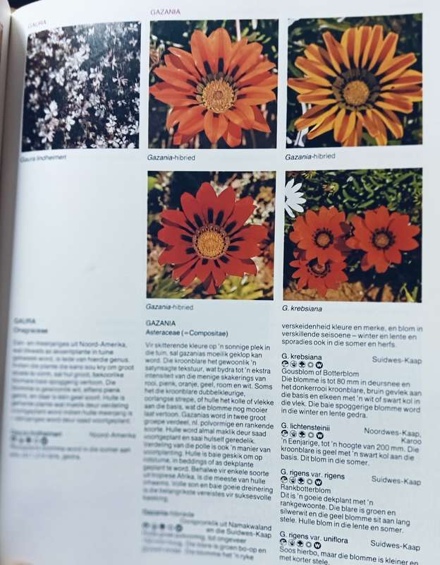 Die A-Z van Tuinblomme in Suid-Afrika - Kristo Pienaar - Softcover - 368 Pages