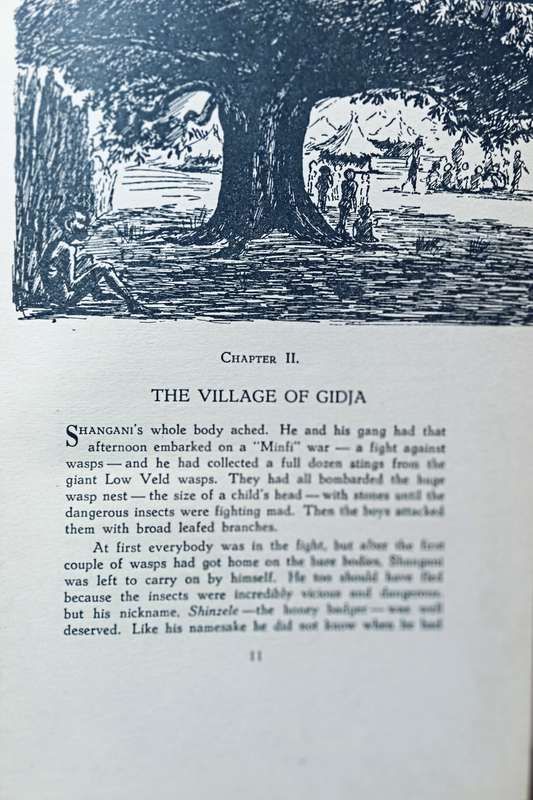 Shangani - Oswald Pirow - Hardcover - 152 Pages