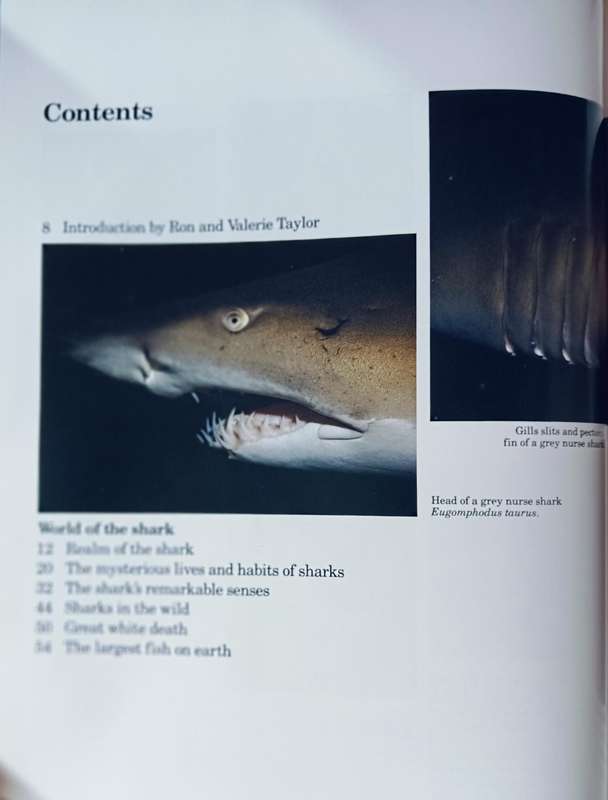 Sharks Silent Hunters of the Deep - Readers Digest- Hardcover - 208 pages