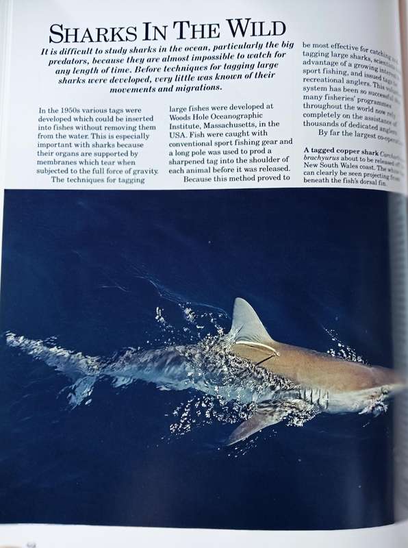 Sharks Silent Hunters of the Deep - Readers Digest- Hardcover - 208 pages