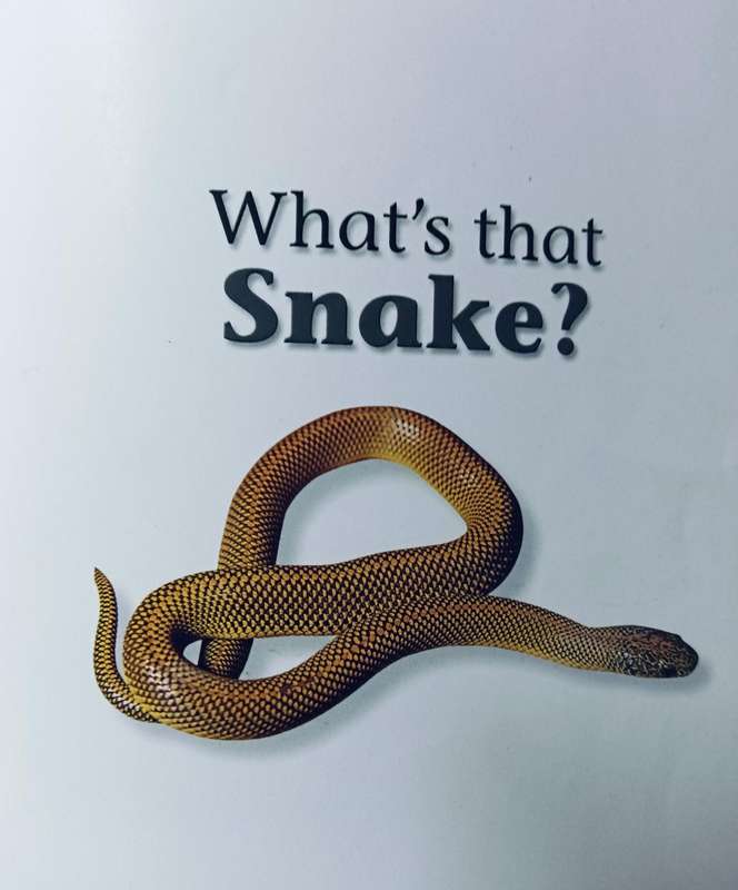 What's That Snake? - Johan Marais - Softcover - 95 pages