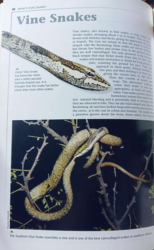 What's That Snake? - Johan Marais - Softcover - 95 pages
