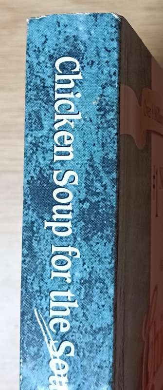 Chicken Soup for the Soul - Jack Canfield & Mark Victor Hansen - Softcover - 429 pages