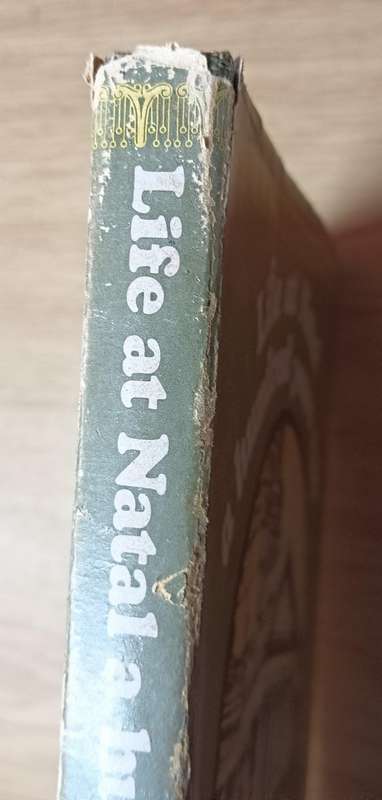 Life at Natal a Hundred Years Ago - A Lady - Hardcover - 134 pages 1st Edition