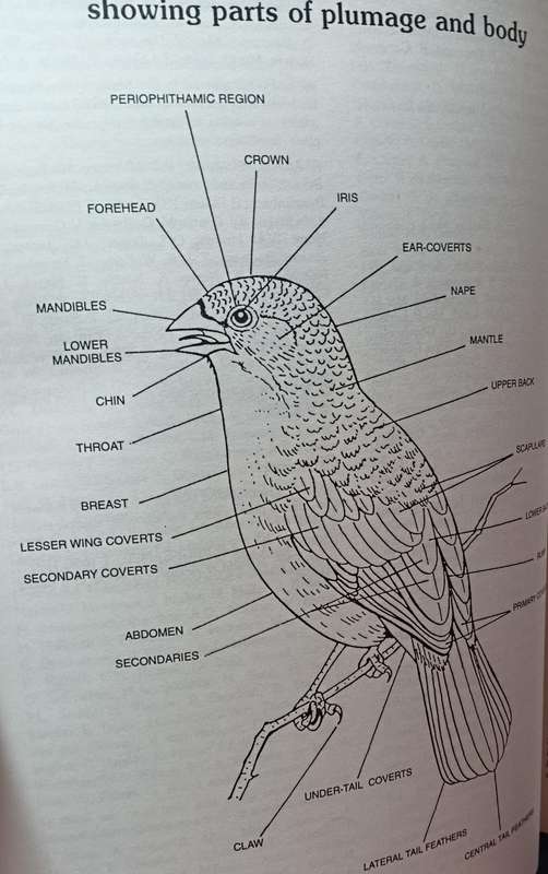 African Birds in Field and Aviary a Guide to a Mixed Collection - Softcover - 262 pages